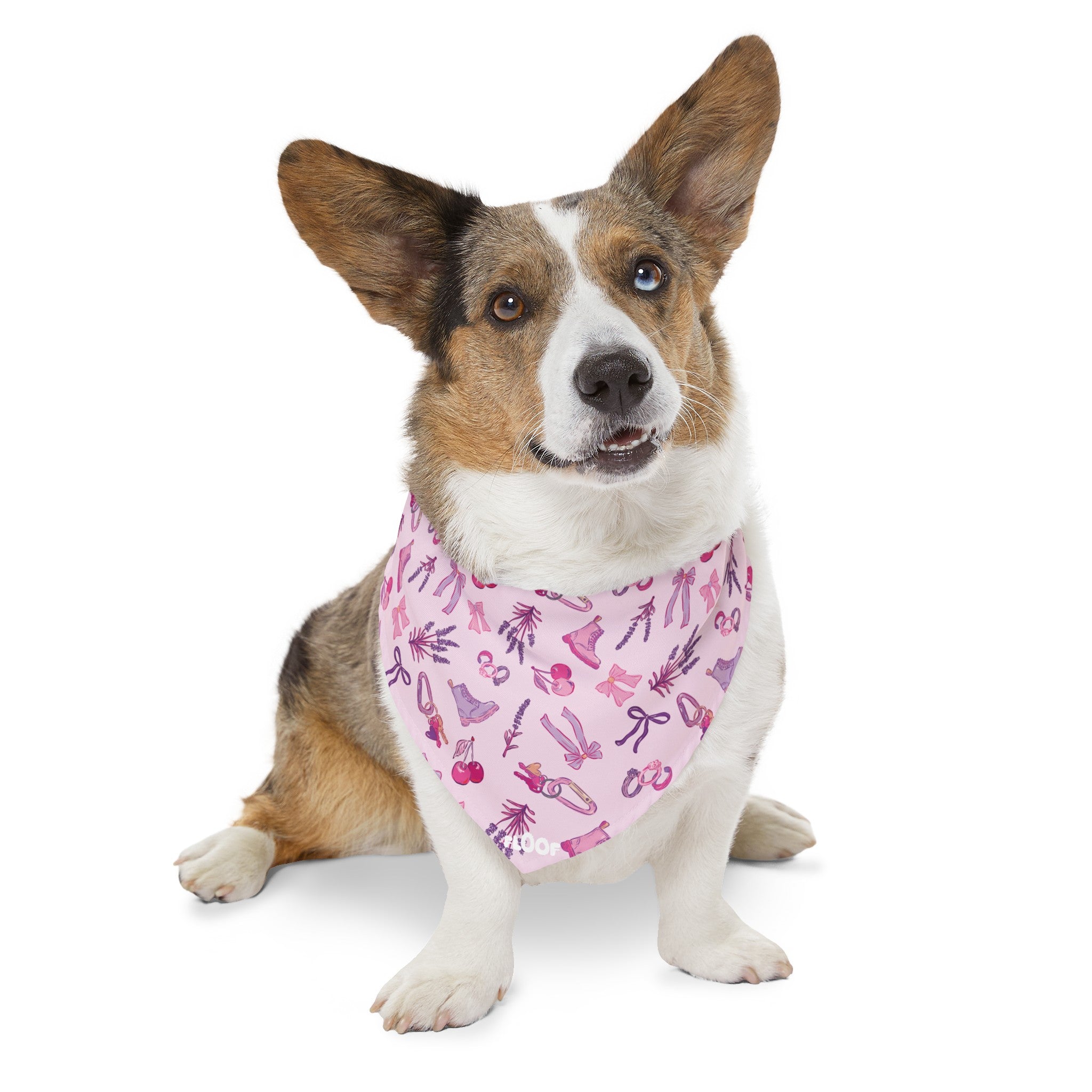 Iconic Pink Queer Pet Bandana Collar