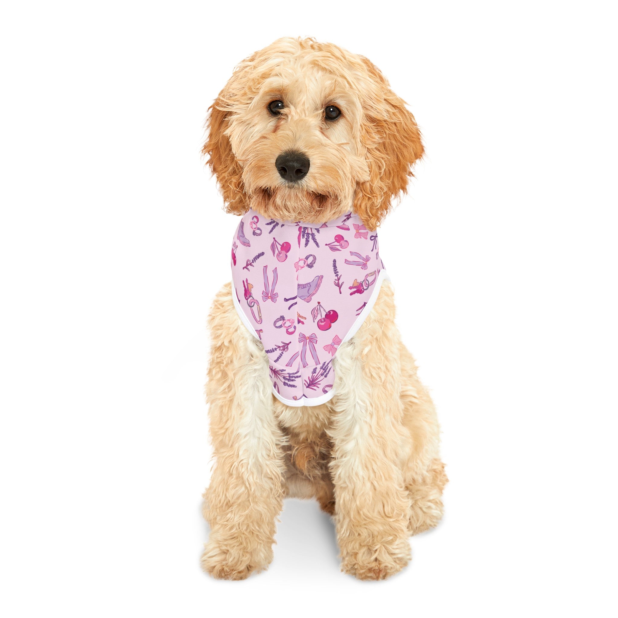 Iconic Pink Queer Pet Hoodie