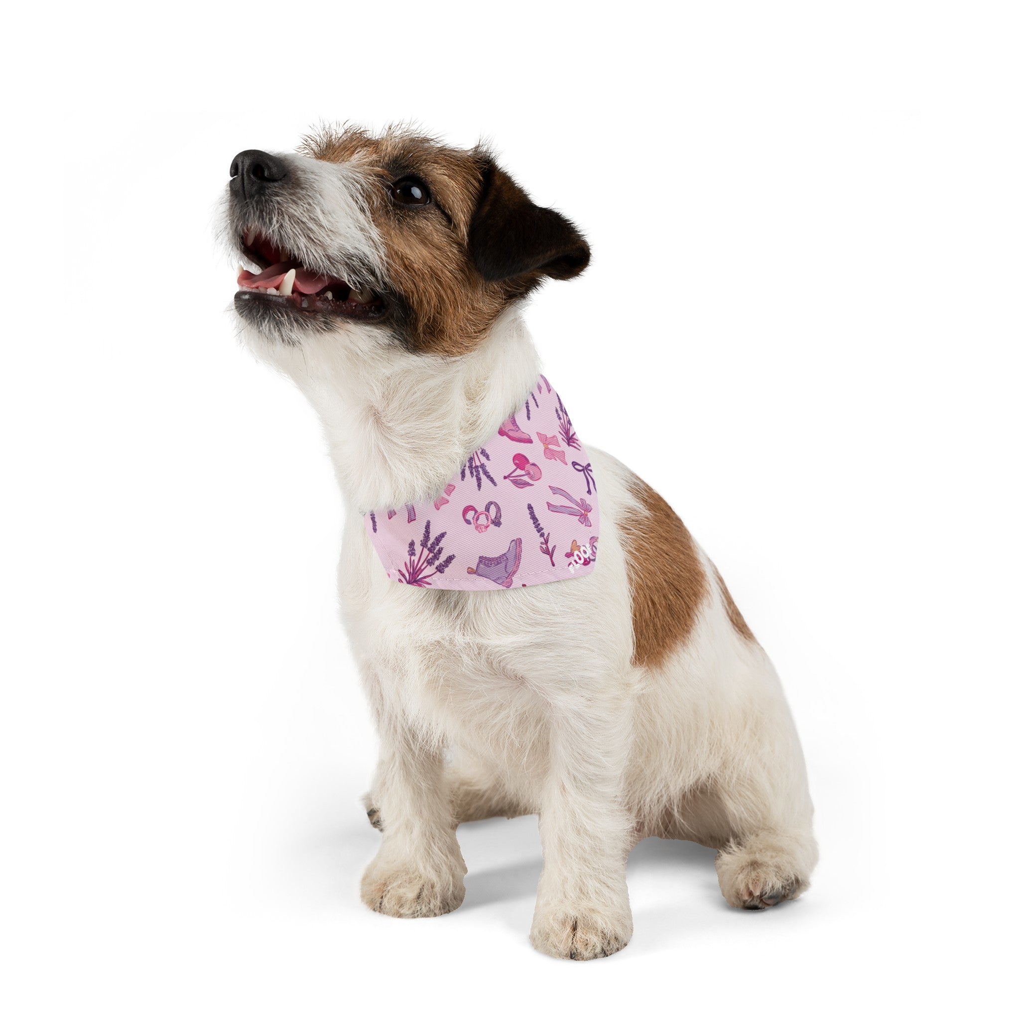 Iconic Pink Queer Pet Bandana Collar