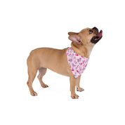 Iconic Pink Queer Pet Bandana