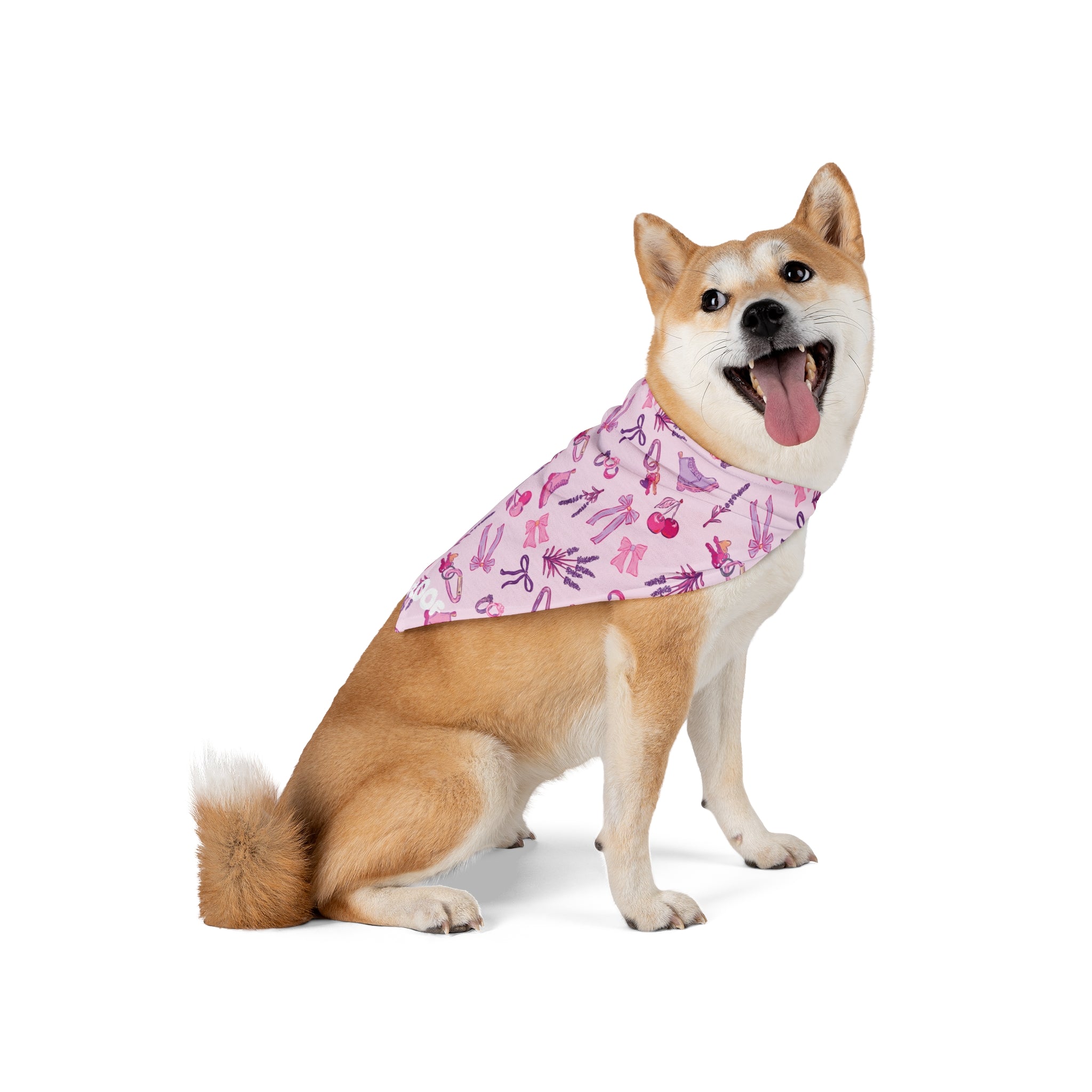 Iconic Pink Queer Pet Bandana