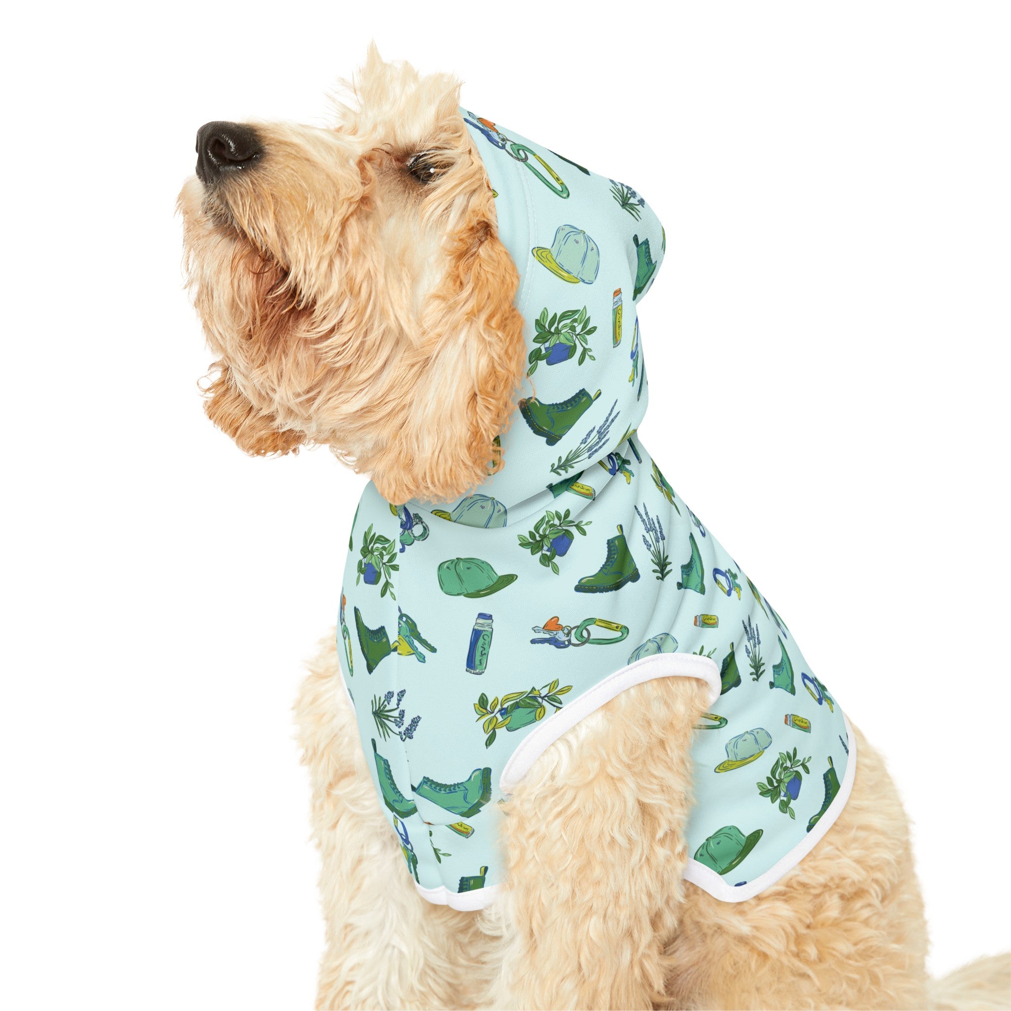 Iconic Green Queer Pet Hoodie