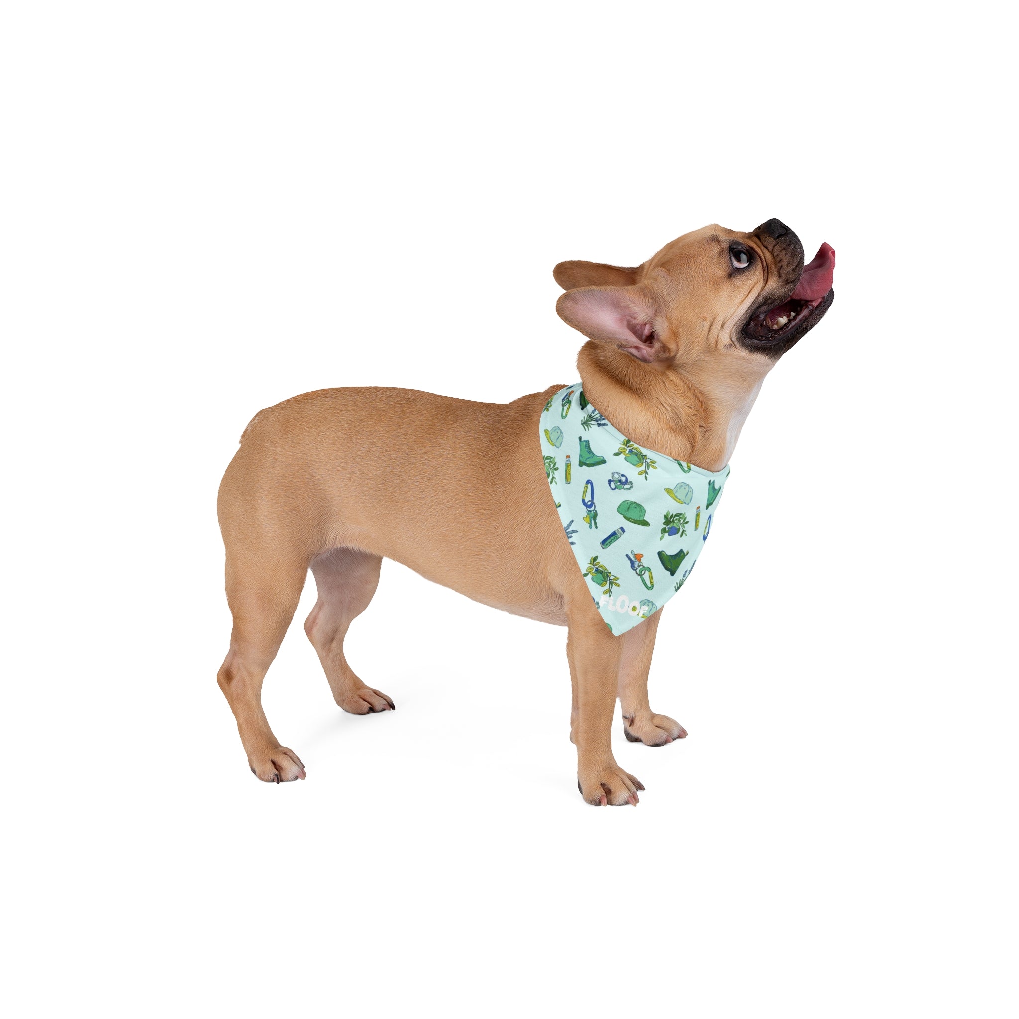 Iconic Green Queer Pet Bandana