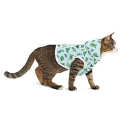 Iconic Green Queer Pet Hoodie