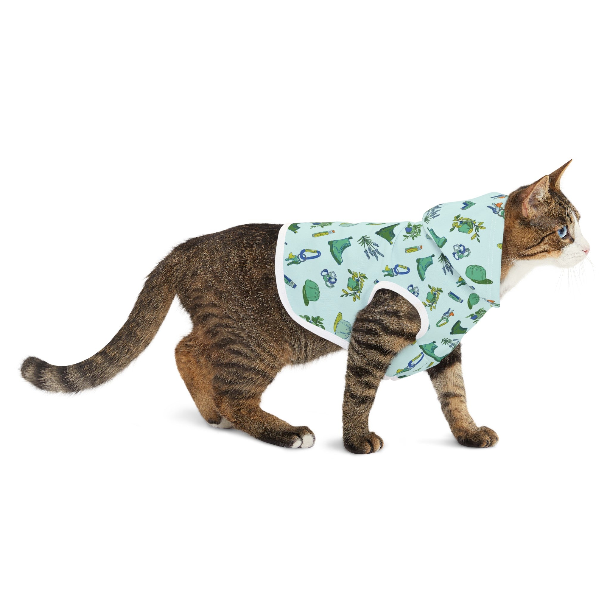 Iconic Green Queer Pet Hoodie