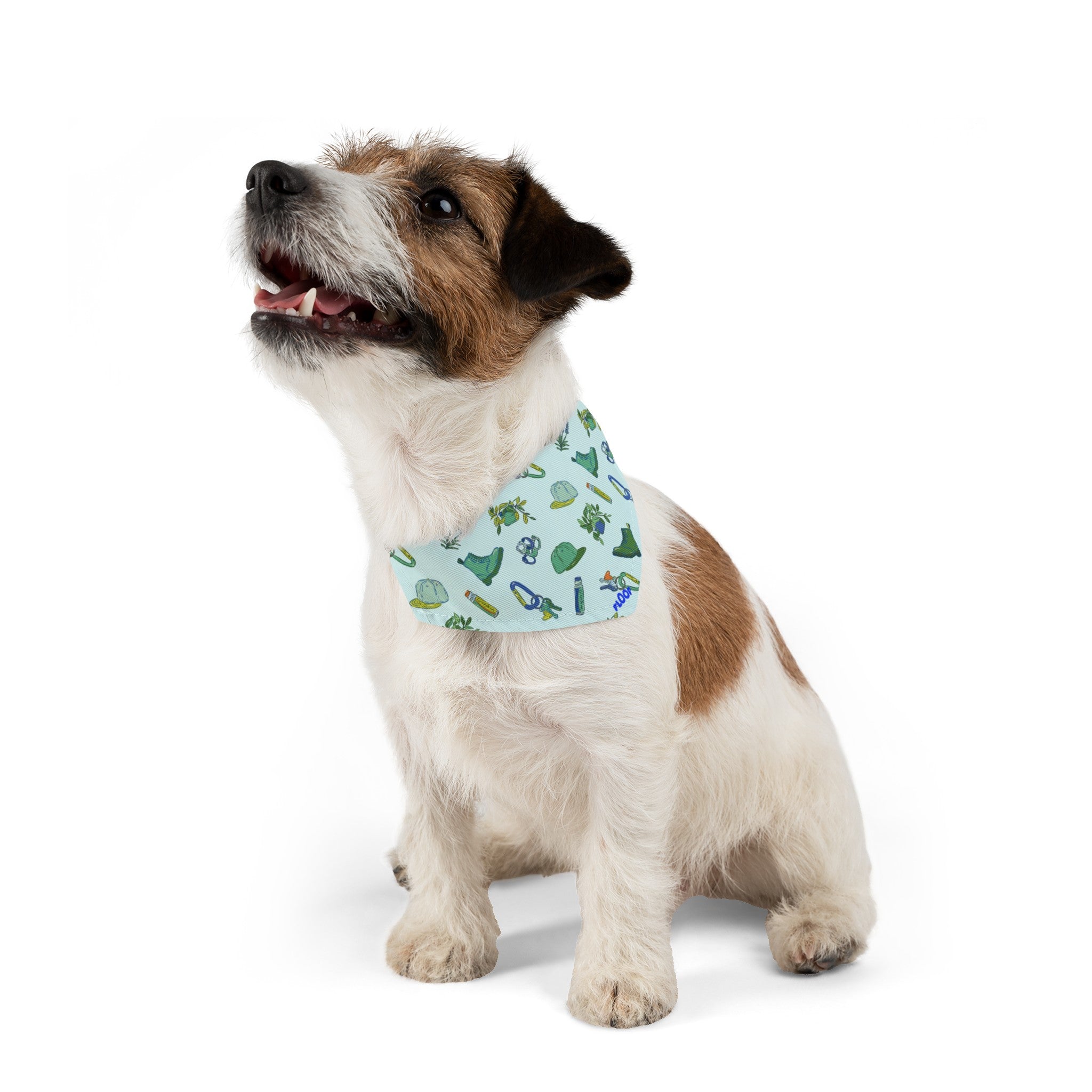 Iconic Green Queer Pet Bandana Collar