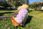 Iconic Pink Queer Pet Hoodie