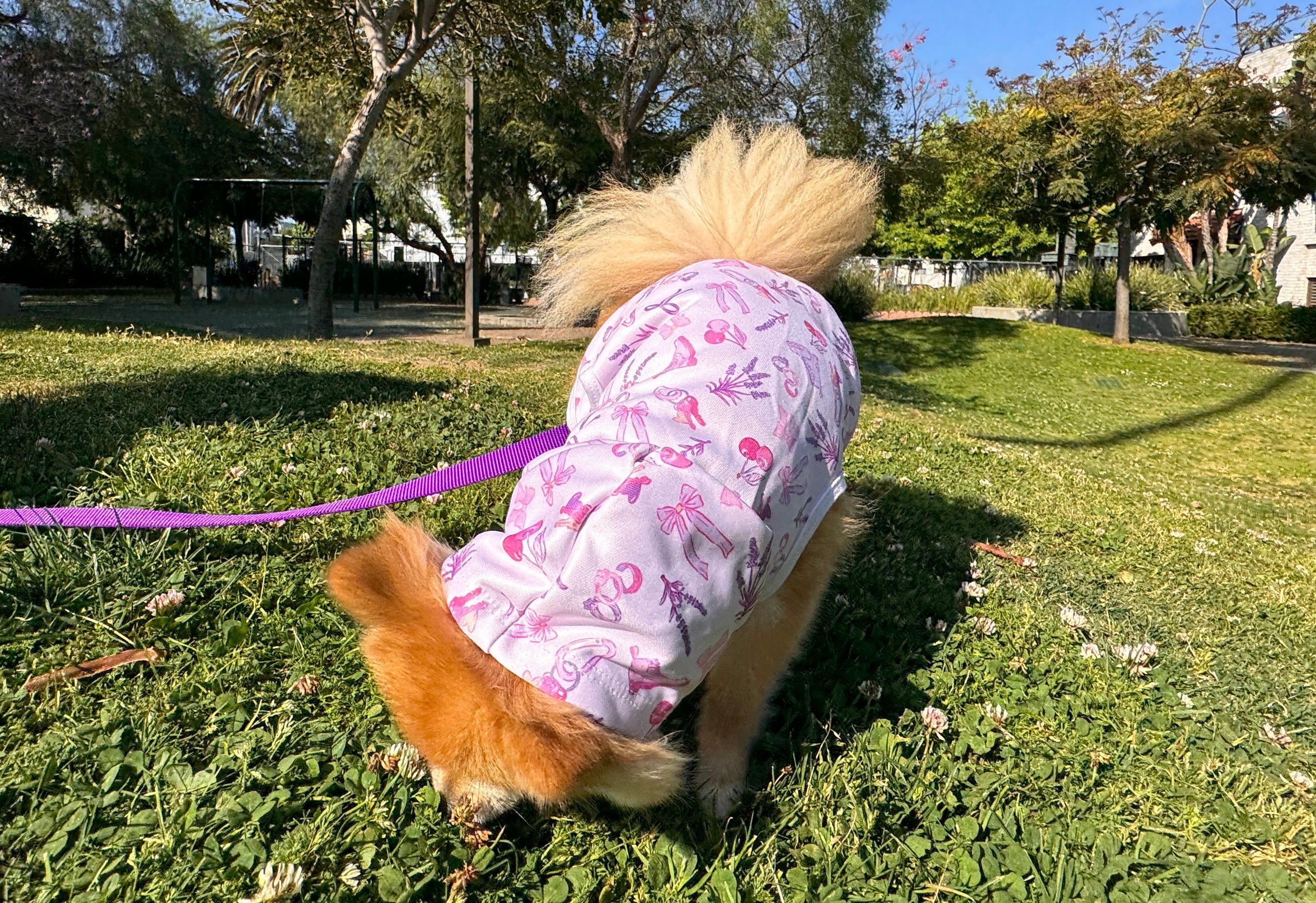 Iconic Pink Queer Pet Hoodie